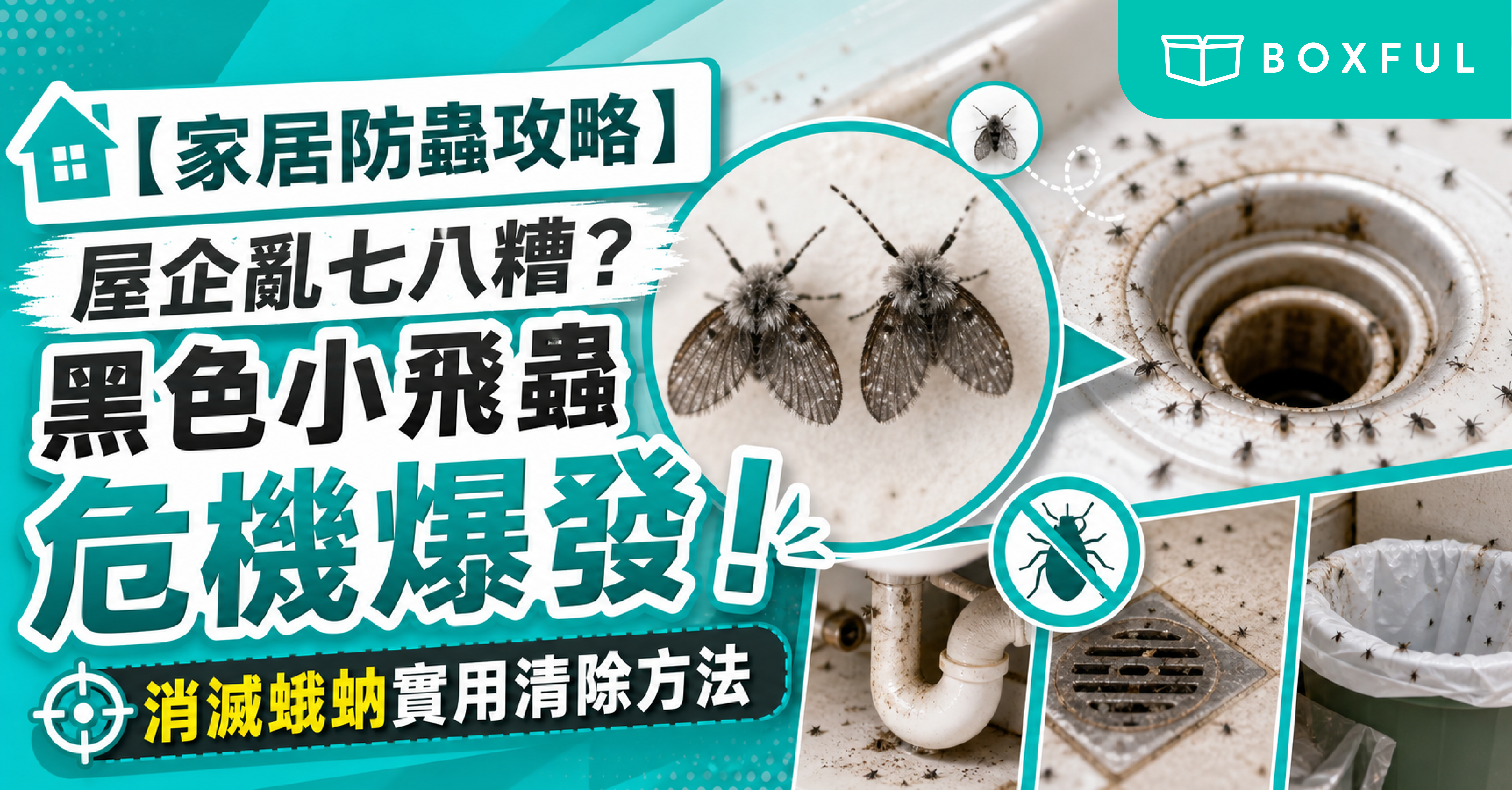 消滅蛾蚋