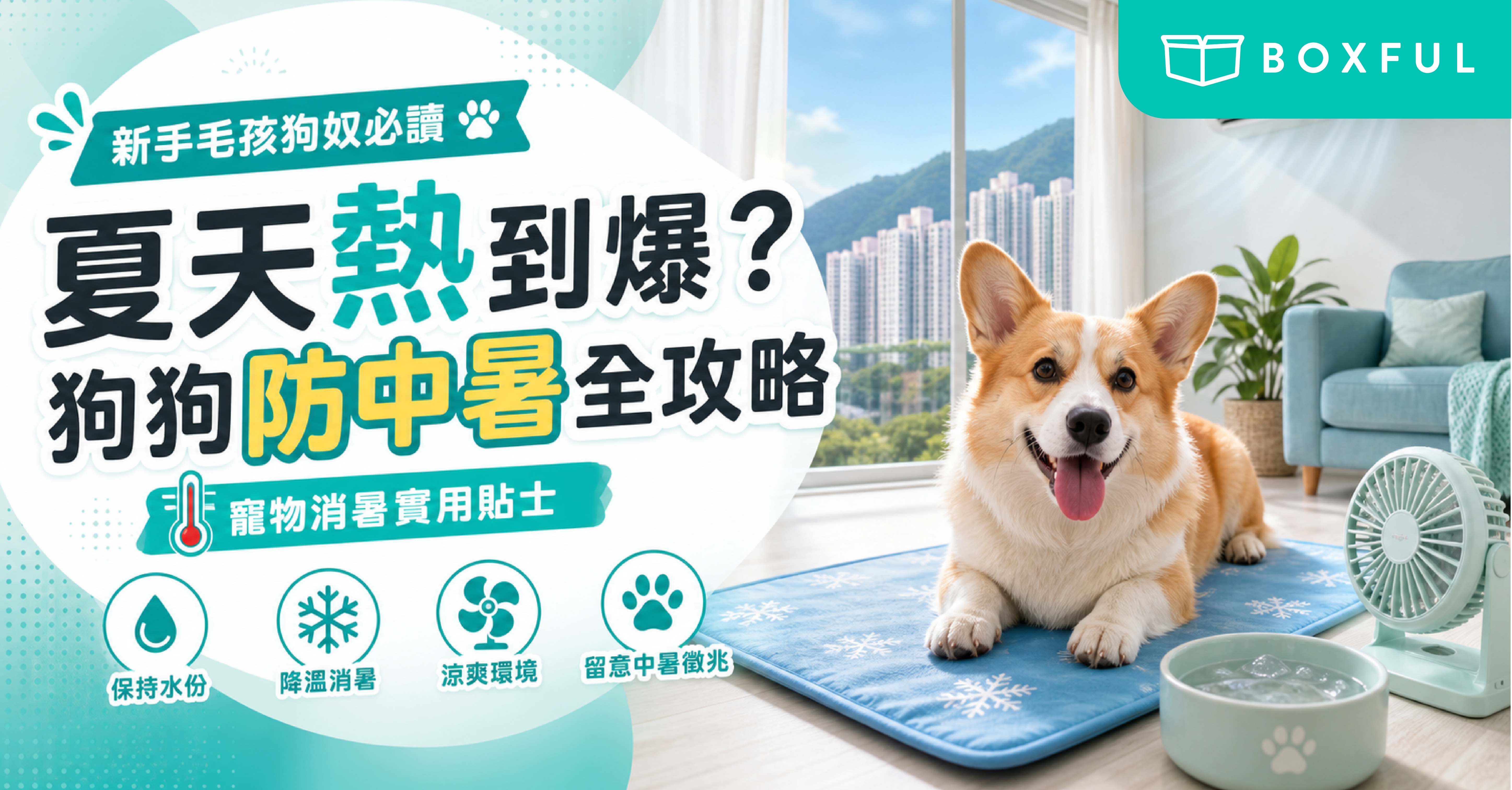 狗狗防中暑全攻略