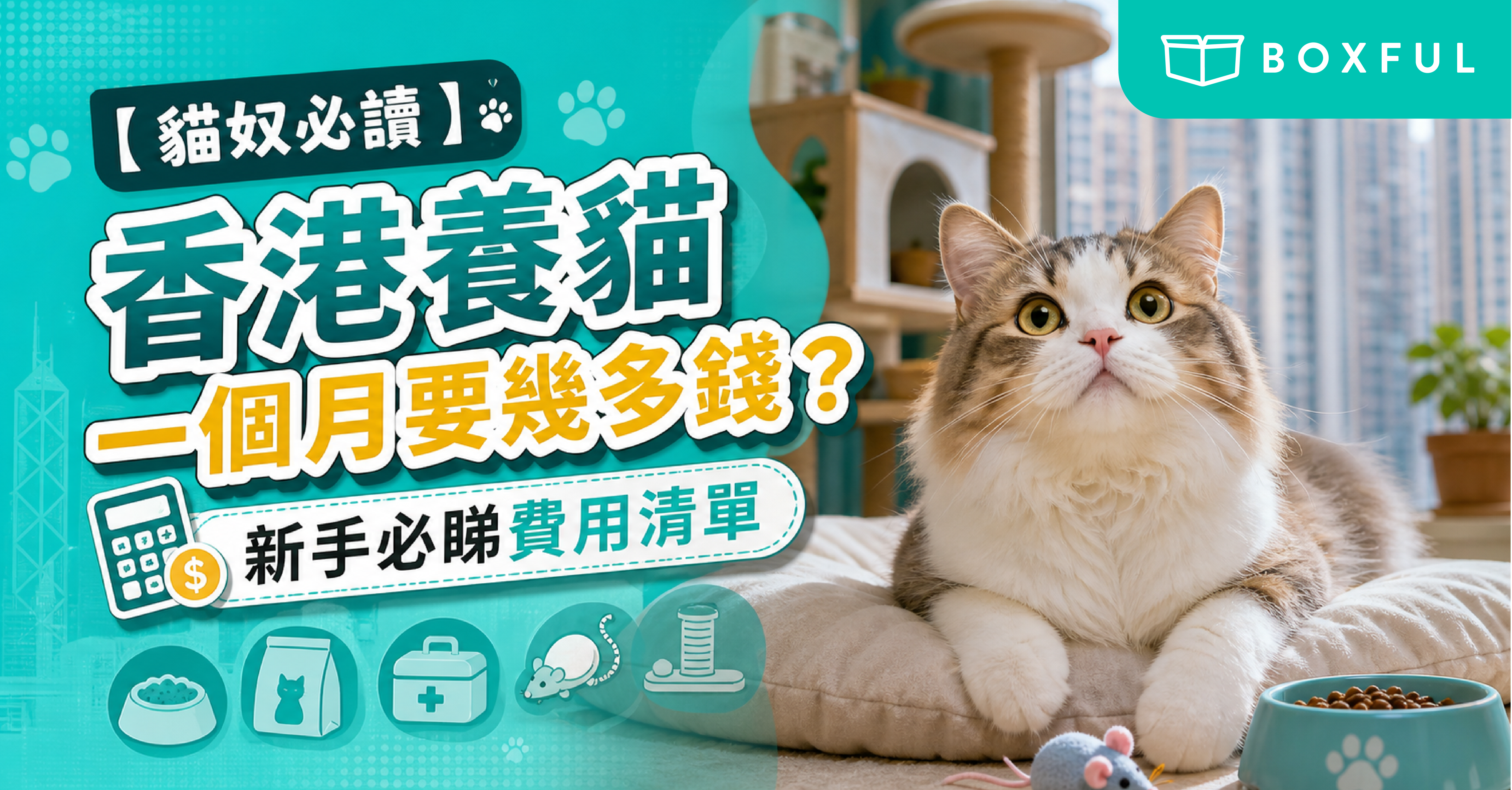 香港養貓一個月要幾多錢